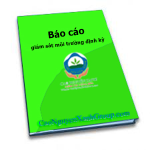 Báo cáo giám sát môi trường định kì